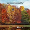 43-Zoll FPD LED Google TV 2025 Modell - 1080P HDR10 mit Audio, integriertem Chromecast & Google Play